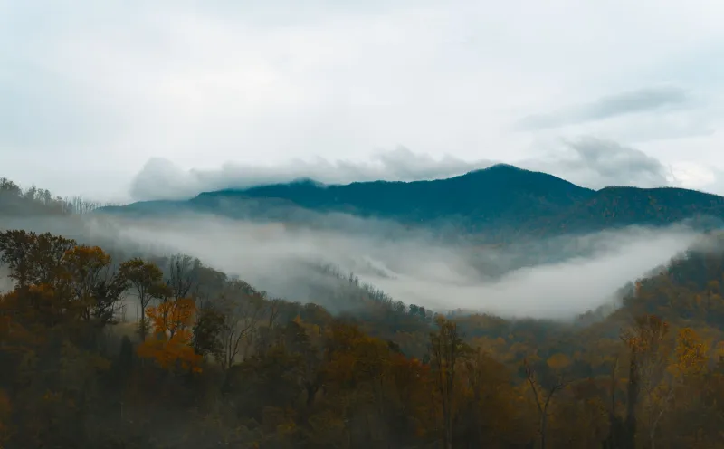 The Mountains That Bite Back: Unpacking the Smoky Mountains' Ancient Shape-Shifter Soul