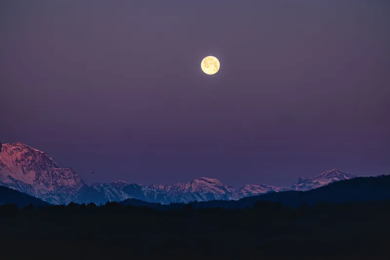 Gather Under the Glow: Tennessee's Best Paranormal Festivals for Werewolf Fans Who Like Their Howls With a Side of Community